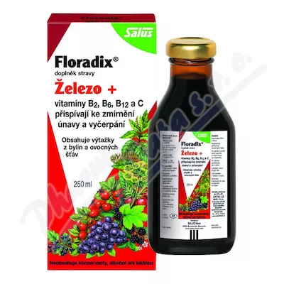 Salus Floradix żelazo+ 250 ml