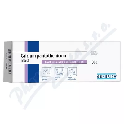 Calcium pantothenicum maść Generica 100g