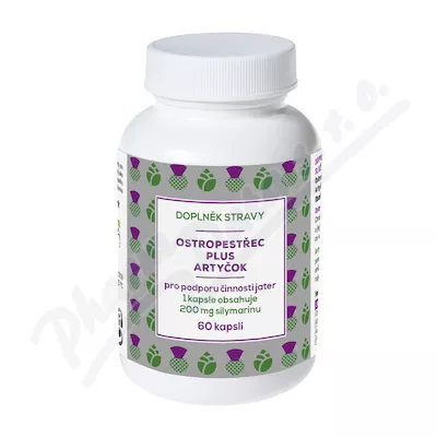 NATURVITA OYSTERBERRY plus ARTICHOK 60 kapsułek