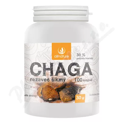 Allnature Chaga rezavec šikmý cps.100