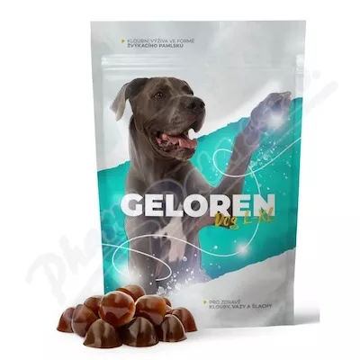 Geloren dog L-XL kloubní výživa 60ks želé - Veterinární přípravky a potřeby pro vaše mazlíčky.