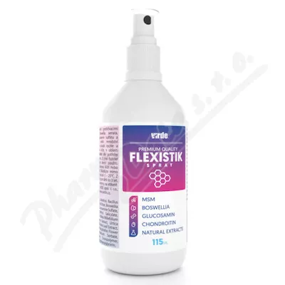 Flexistik spray 115ml