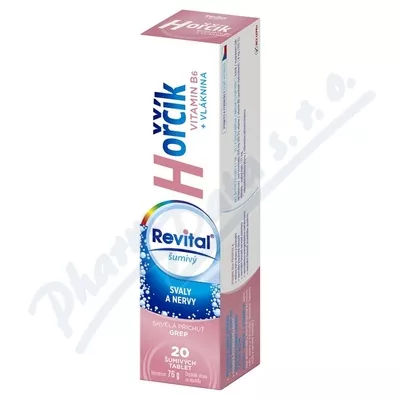 Revital Magnesium+B6 tbl.eff.20